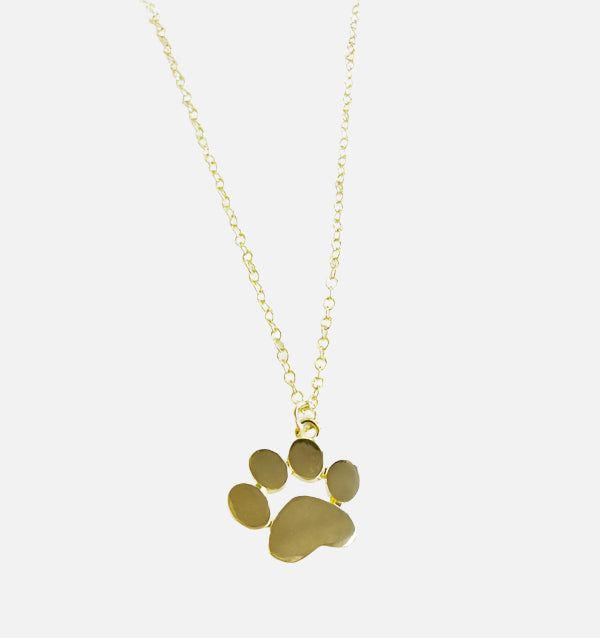 Gouden Ketting met Pootje Charm