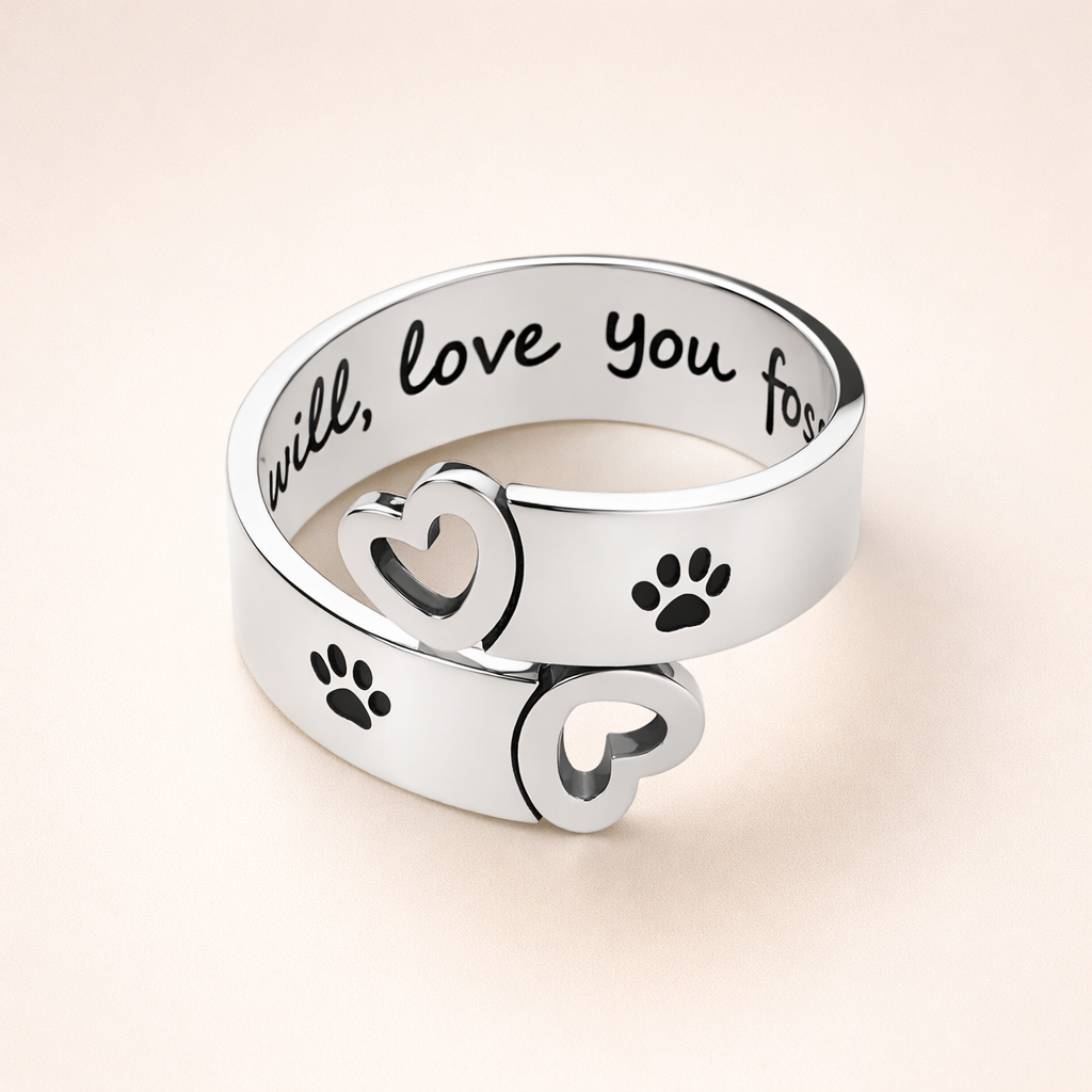 Verstelbare Poot & Hart Draaiering – RVS