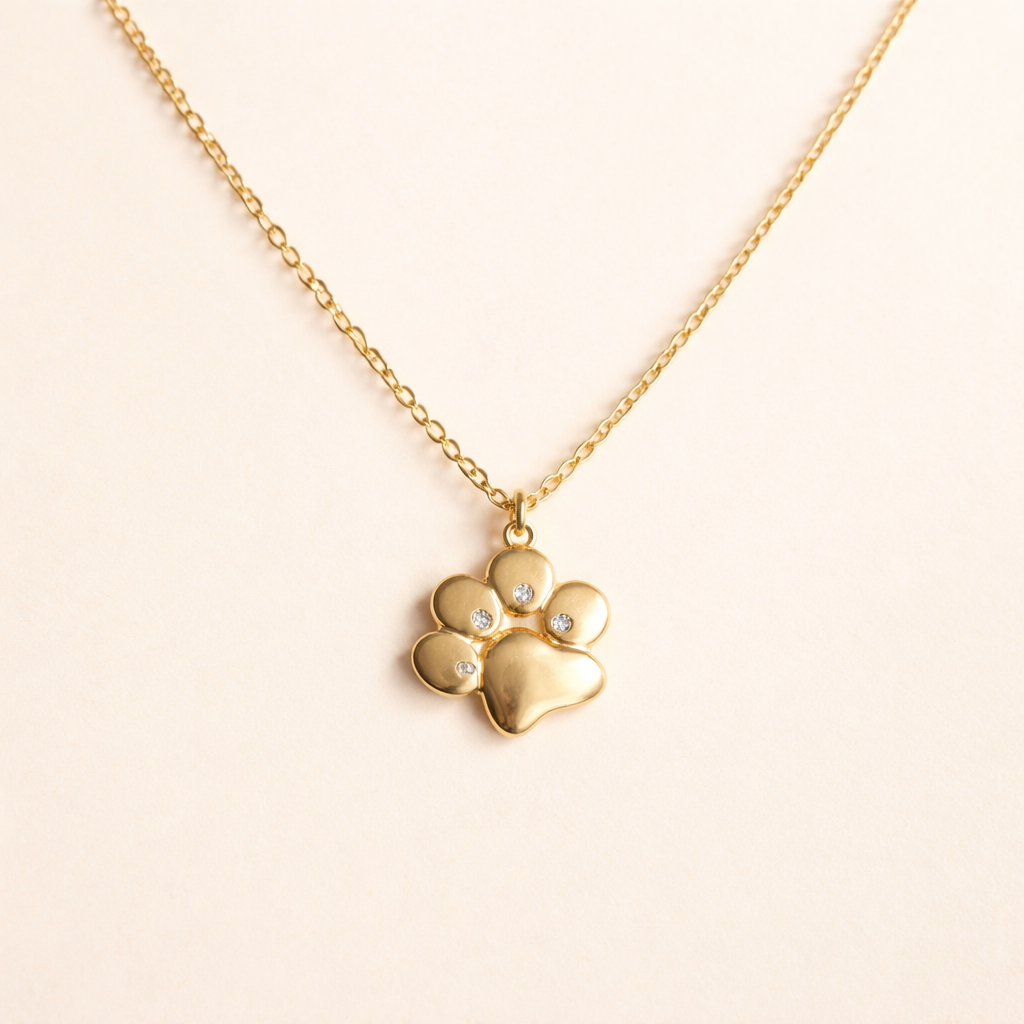 Gouden Ketting met Pootje Charm