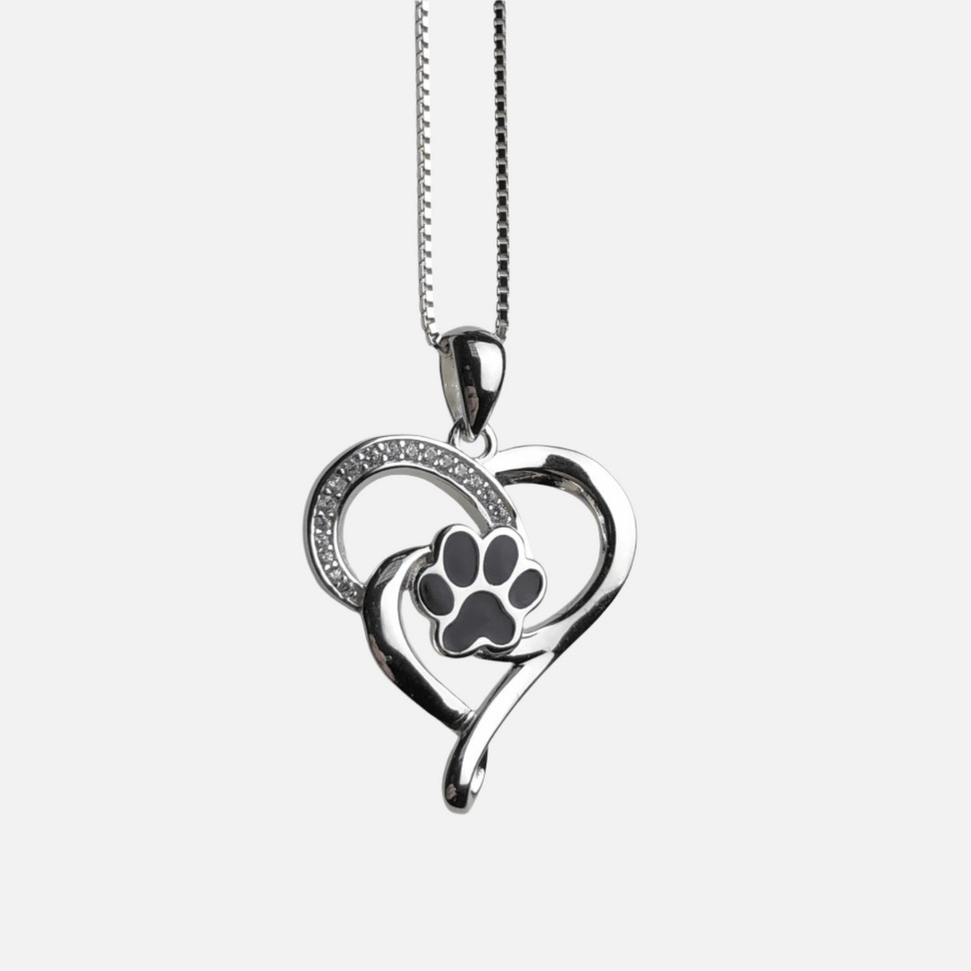 Roestvrijstalen Infinity Ketting met Hart & Poot